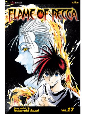 cover image of Flame of Recca, Volume 17